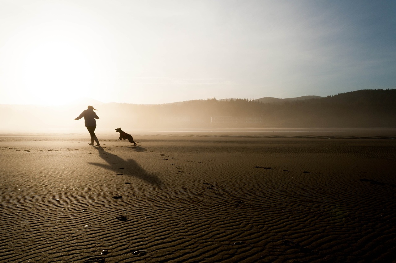 Giocare con un cane sulla spiaggia