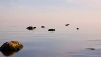 Quiete